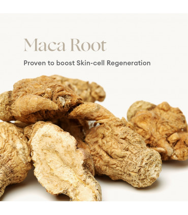 INIKA ORGANIC Phytofuse Renew™ Maca Root Day Cream